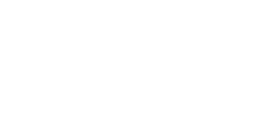 Partner 8